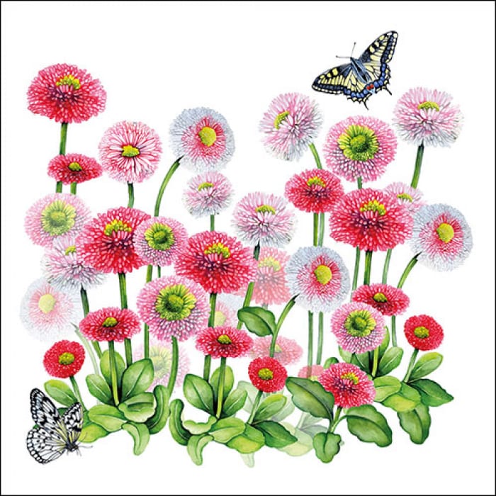 Ambiente - Paper Napkins / Servietten - Bellis 33 x 33cm