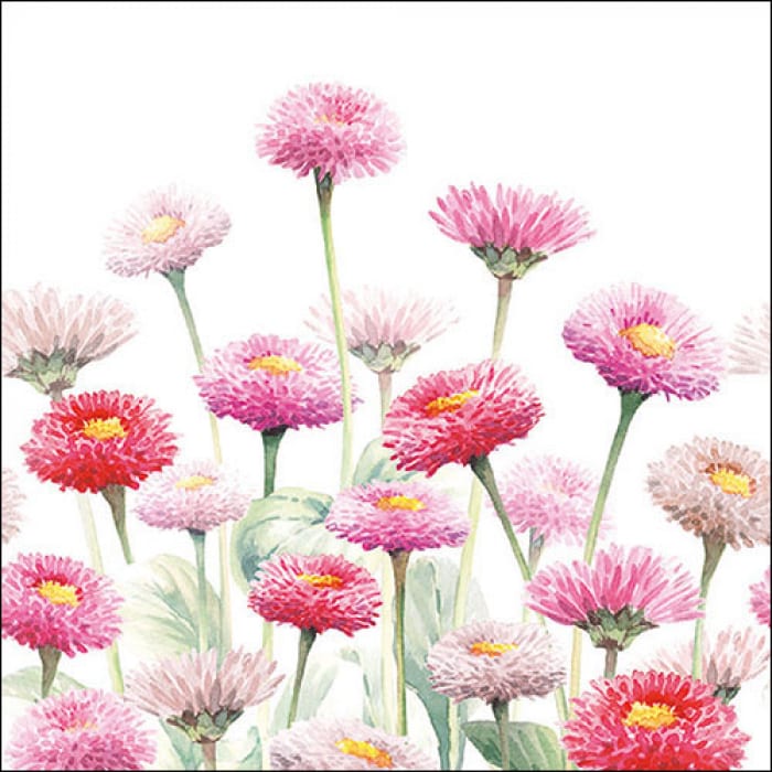 Ambiente - Paper Napkins / Servietten - Painted Bellis 33 x 33cm